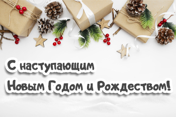 С наступающим Новым Годом и Рождеством!
